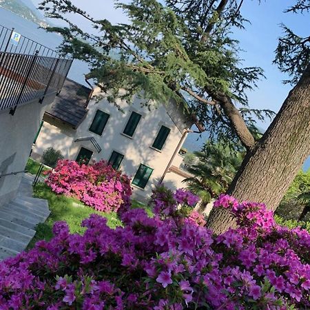 Appartamento Giardini MAGNOLIA Belgirate Esterno foto