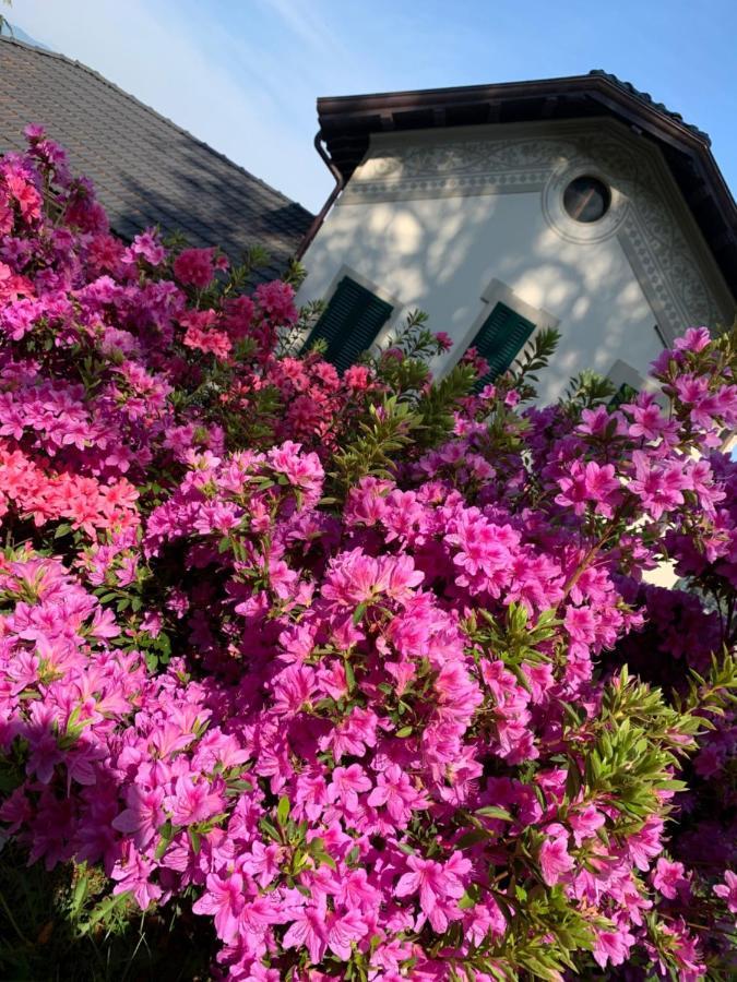 Appartamento Giardini MAGNOLIA Belgirate Esterno foto