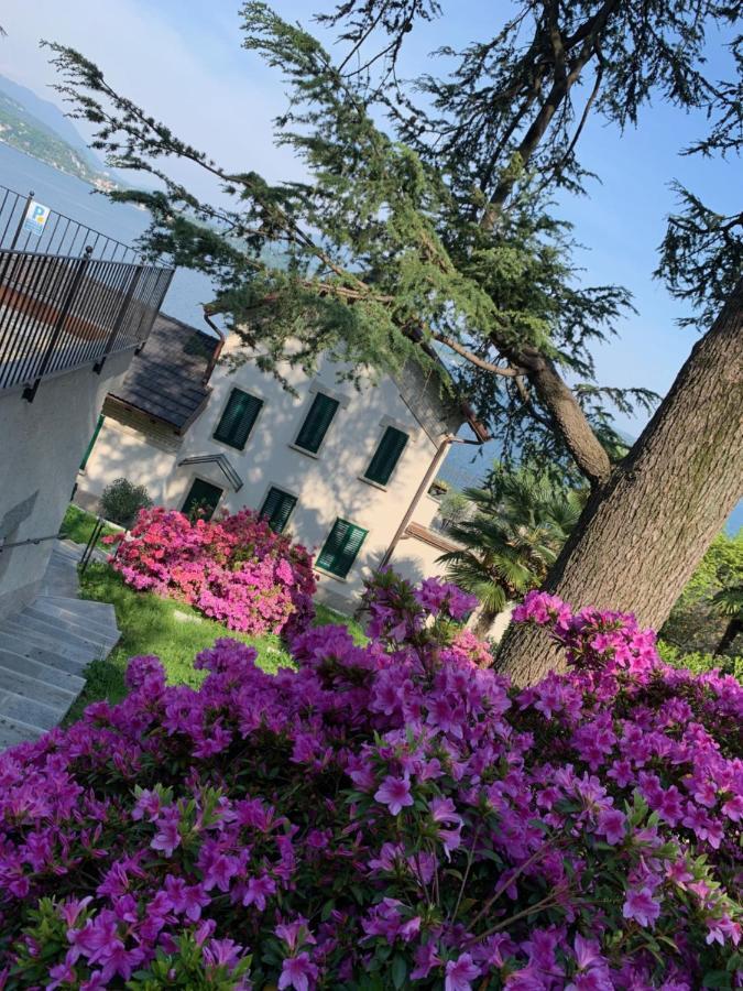 Appartamento Giardini MAGNOLIA Belgirate Esterno foto