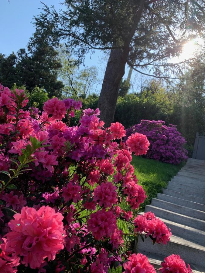 Appartamento Giardini MAGNOLIA Belgirate Esterno foto