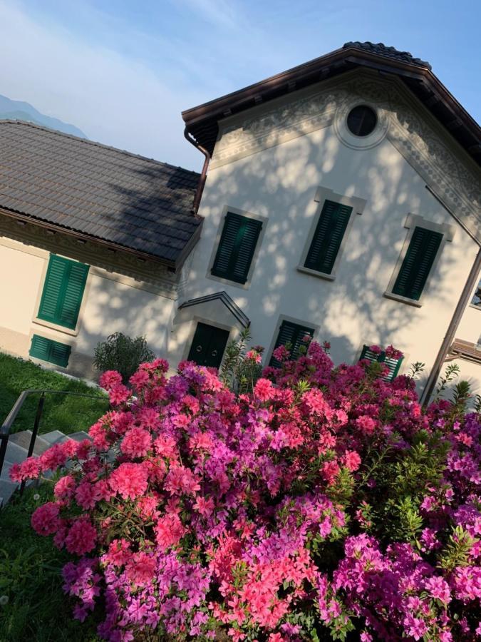 Appartamento Giardini MAGNOLIA Belgirate Esterno foto