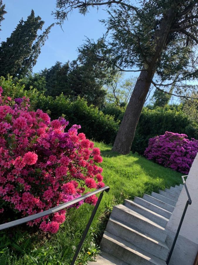 Appartamento Giardini MAGNOLIA Belgirate Esterno foto