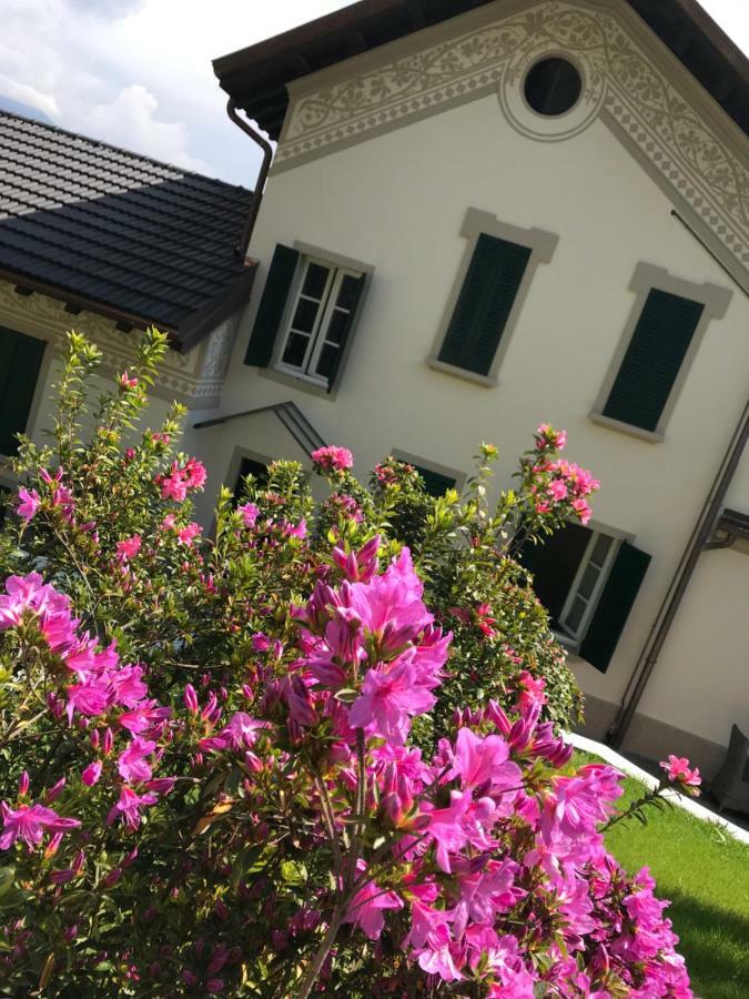 Appartamento Giardini MAGNOLIA Belgirate Esterno foto